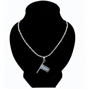 Conjunto Cadena Espiga hueco y Dije Bandera de Argentina con Piedras de Plata 925